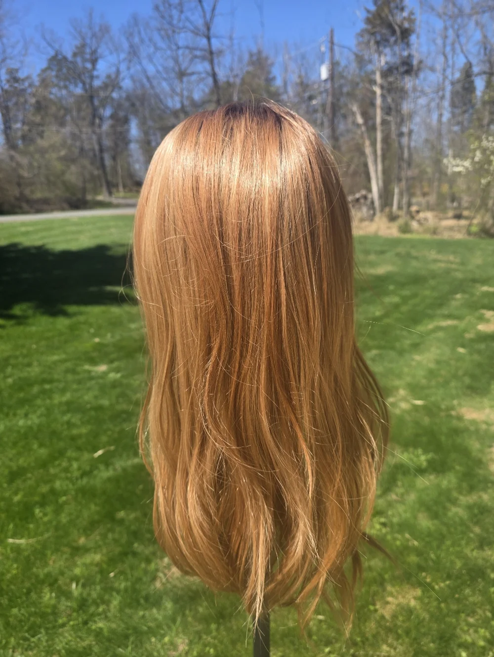 Chelsey Smith Dakota Rich Honey Swiss Lace NWT + CSC winged liner stamp. - Picture 8 of 12